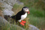 DSC_2169.jpg