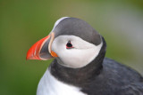 DSC_2311.jpg